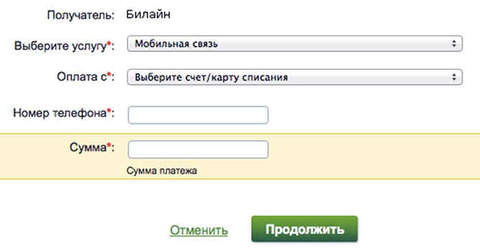 Пополнить счет с банковской карты сбербанк. Как положить деньги на Билайн банковской картой