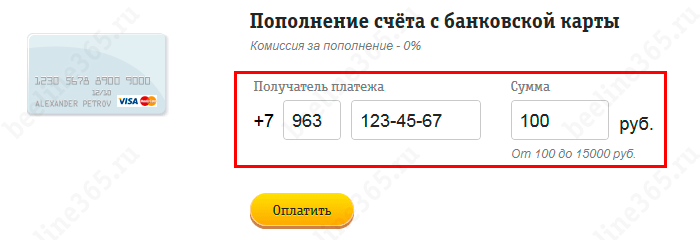 Пополнить счет билайн карточкой без комиссии одноразовой. Как пополнить счет Билайн с банковской карты